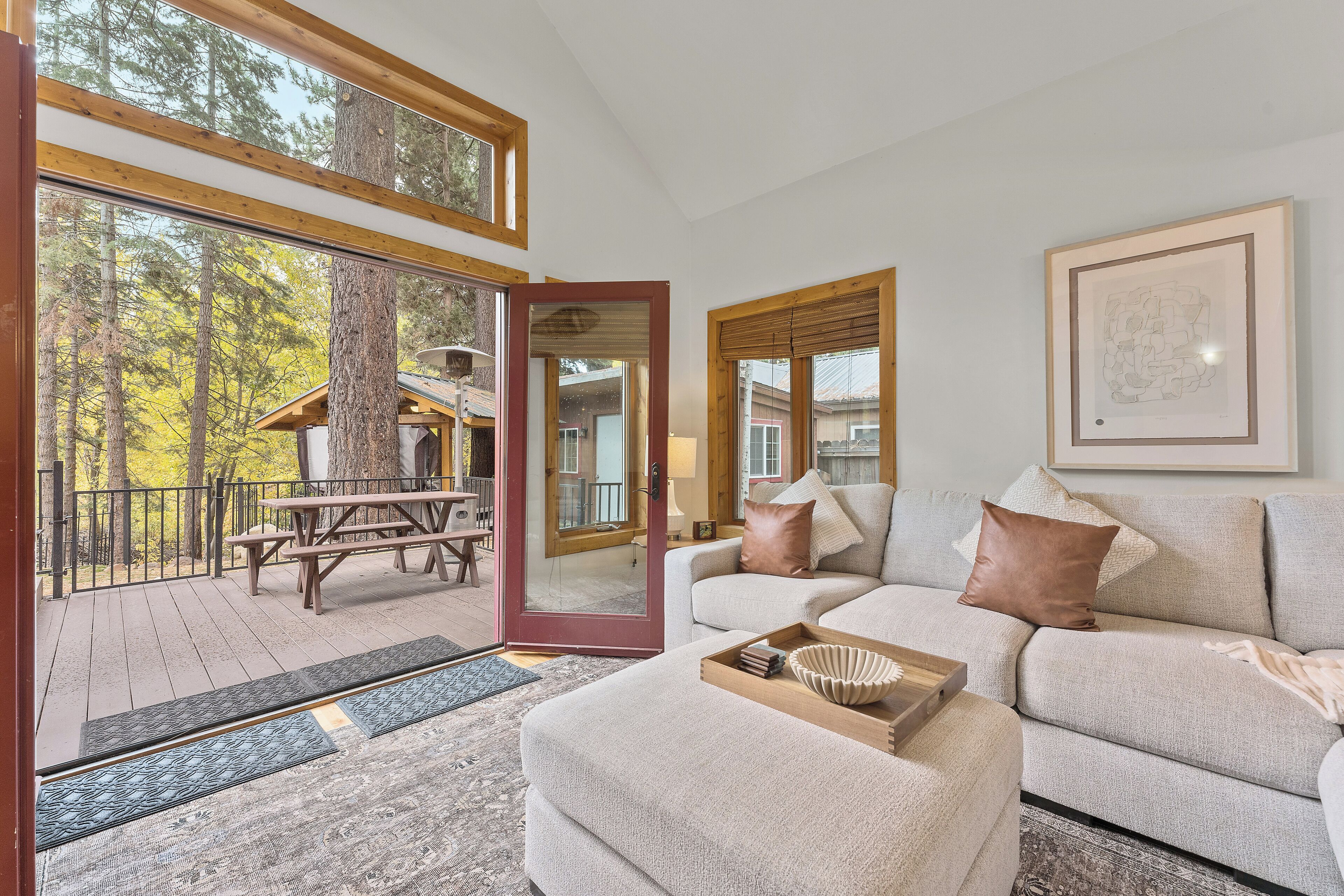 TV connectée, cheminée, lecteur de DVD