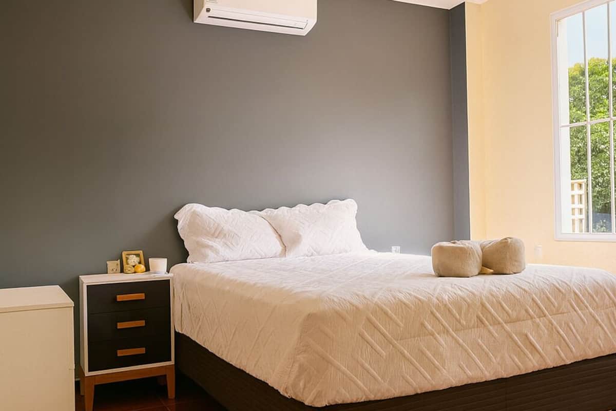 Basic Oda | Ücretsiz kablosuz İnternet