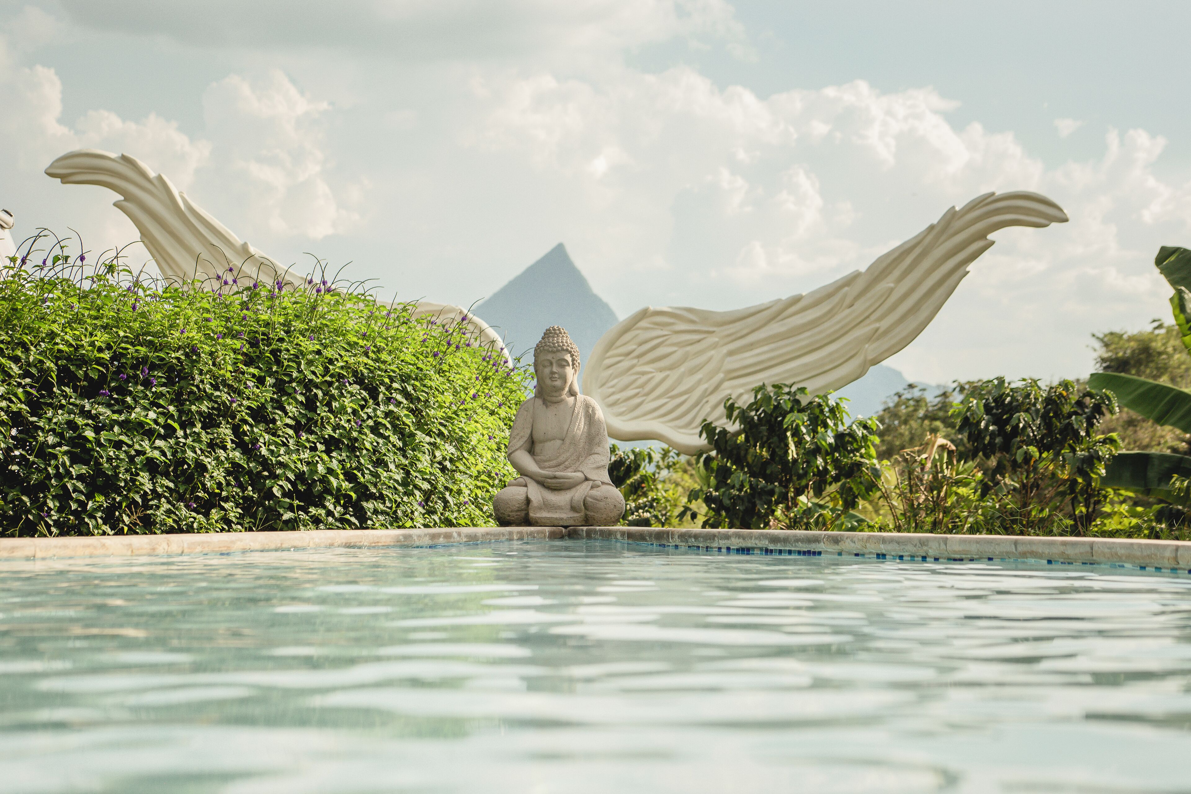 حمّام سباحة خارجي