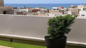 Una azotea con una planta en maceta, vista al mar y edificios al fondo.