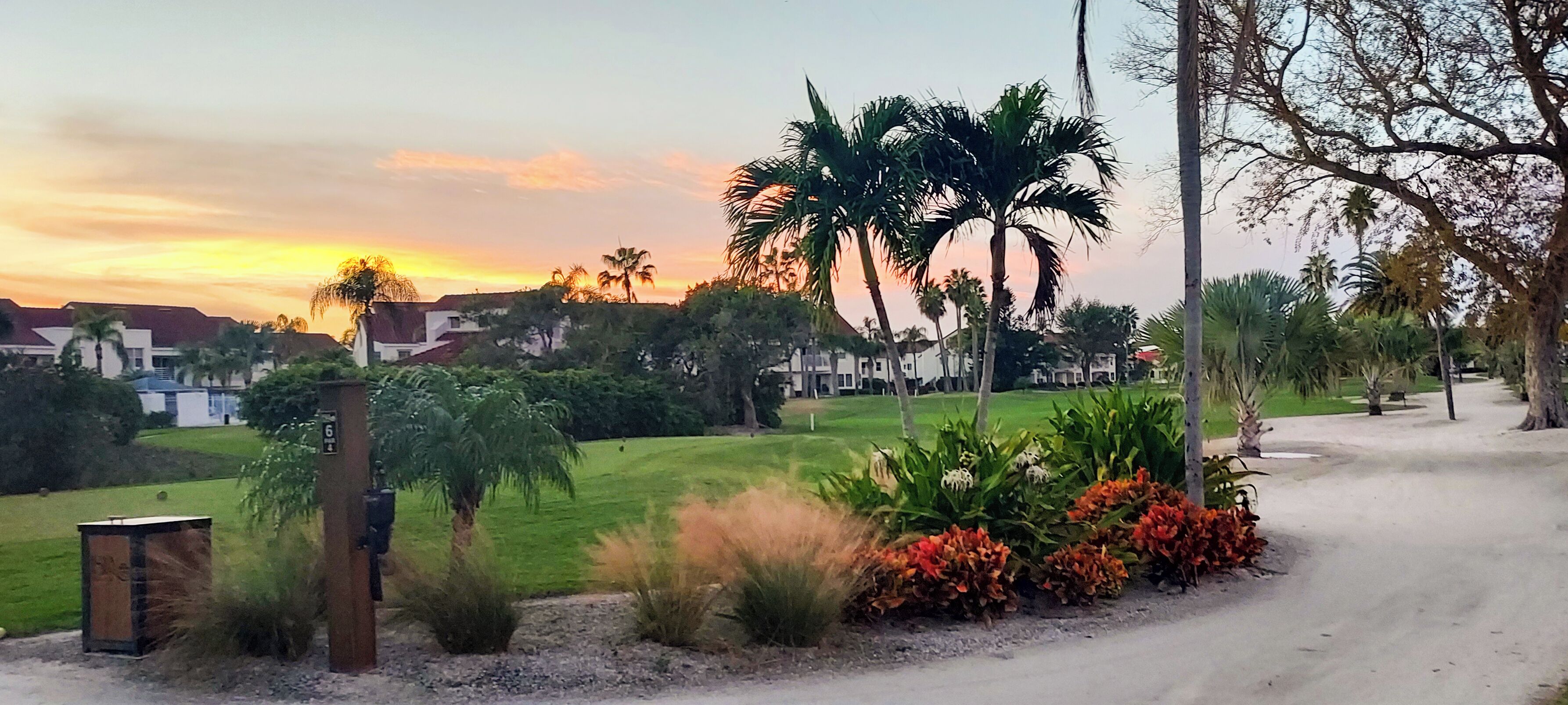 A residential area with houses, palm trees, and a grassy field.
