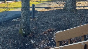 A bench in a park with a view of mountains and a wooden fence. - First Floor Slopeside Ski-in / Ski-out at Wintergreen, steps from main lodge (Wintergreen Resort)