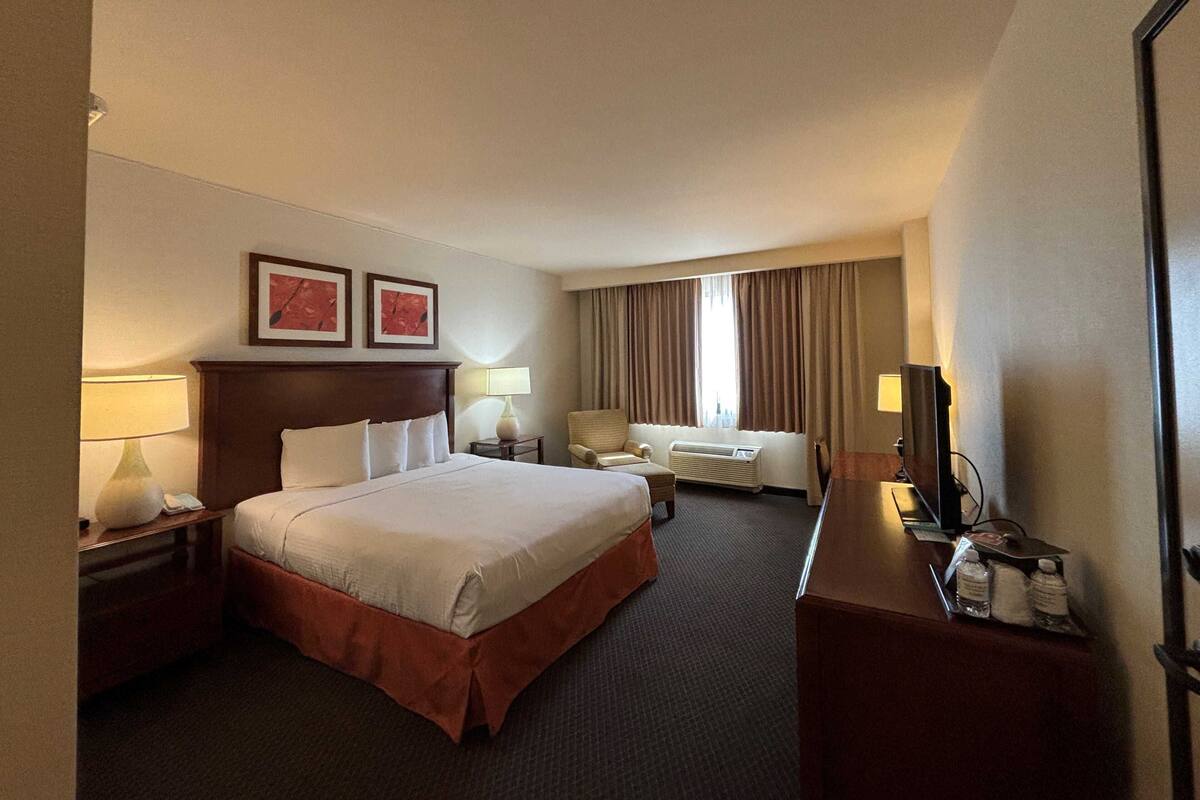 Chambre Simple | Coffres-forts dans les chambres, fer et planche à repasser