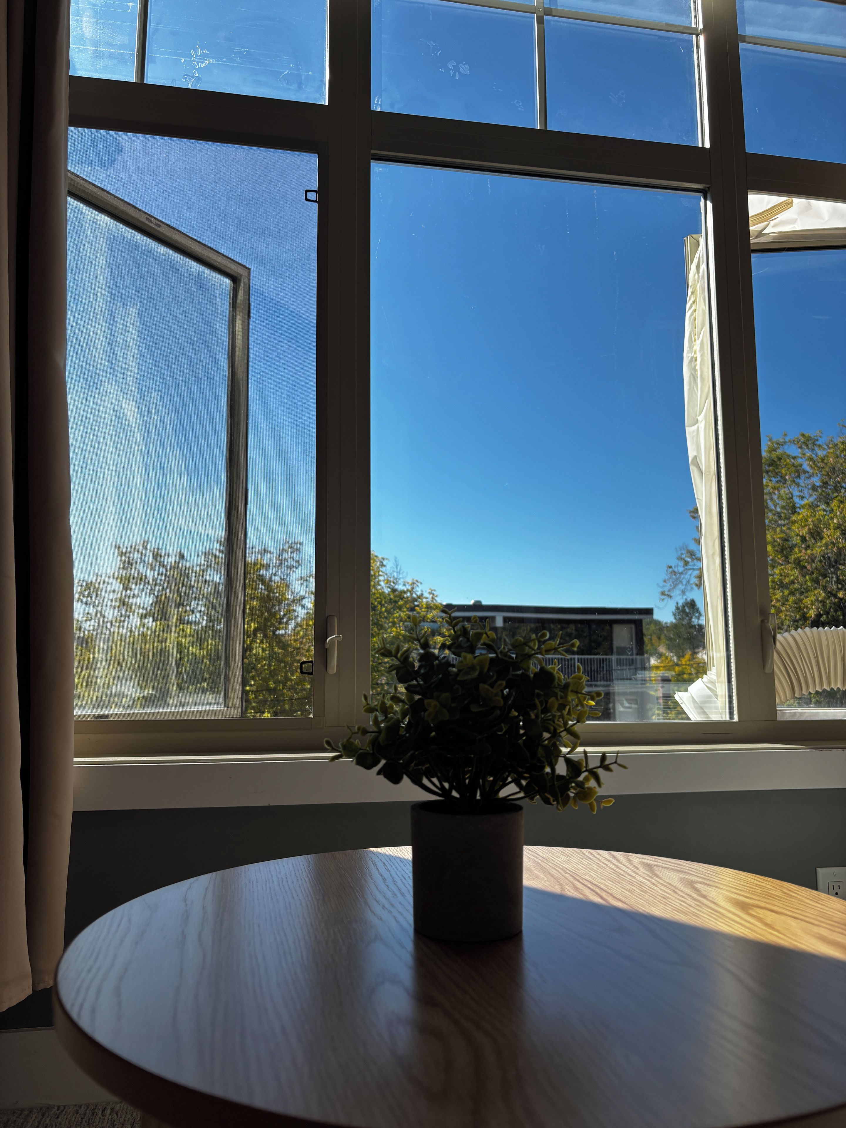 Una ventana con vistas a árboles y un edificio.