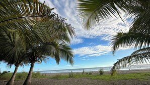 Una playa con palmeras y cielo despejado.