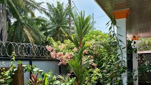 Un jardín con diversas plantas, un patio con baldosas y una valla de metal.