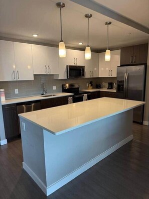 Fridge, microwave, stovetop, dishwasher - West End Lux L3BR 2BA Condo Historic West End (Boston)