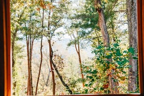 Interior - Misty Mountain Getaway - Hot tub & Scenic View (Ellijay)