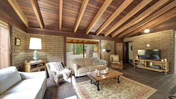 TV, fireplace, books