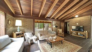 Tv, eldstad och böcker