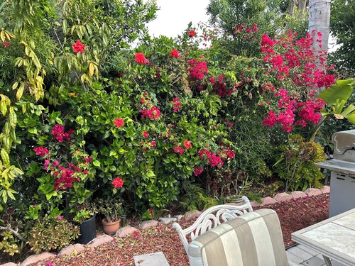 Delightful 1 bedroom in a nice Family house in Inglewood.15 min from LAX.