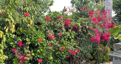 Delightful 1 bedroom in a nice Family house in Inglewood.15 min from LAX.