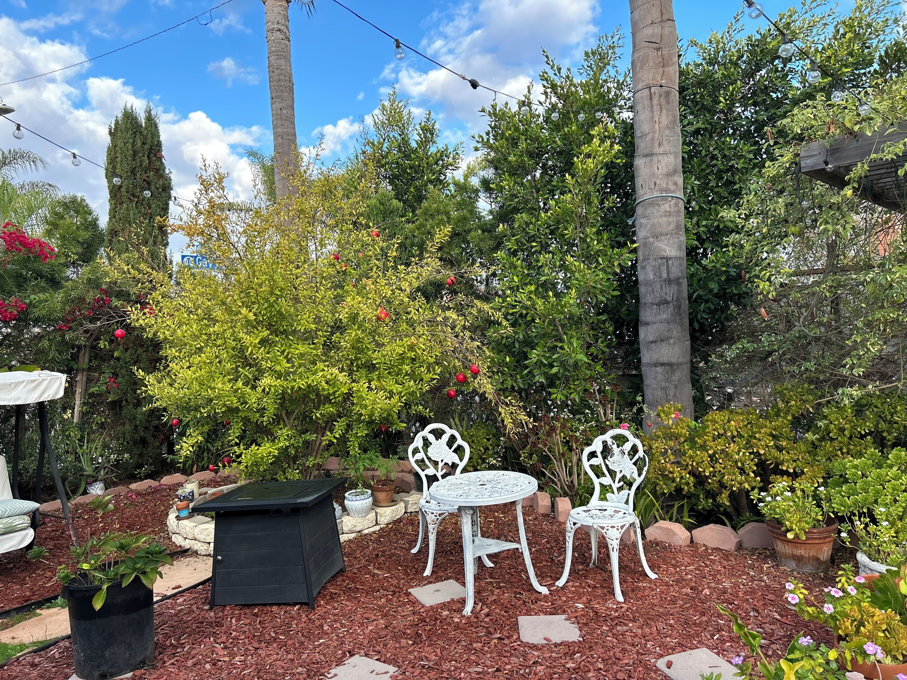 Opções para refeição ao ar livre