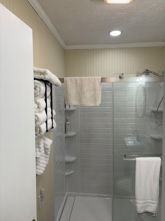 Shower, hair dryer, towels, soap. stay on the farm! Pet friendly!adorable cottage blue ridge mountains Galax Va.