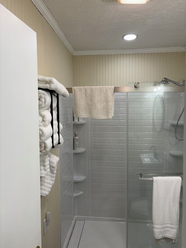 Shower, hair dryer, towels, soap