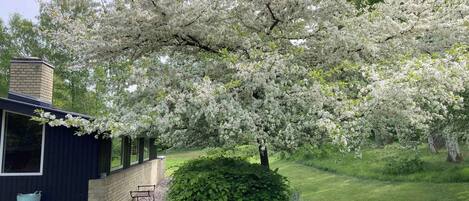 Àrea exterior de l'allotjament