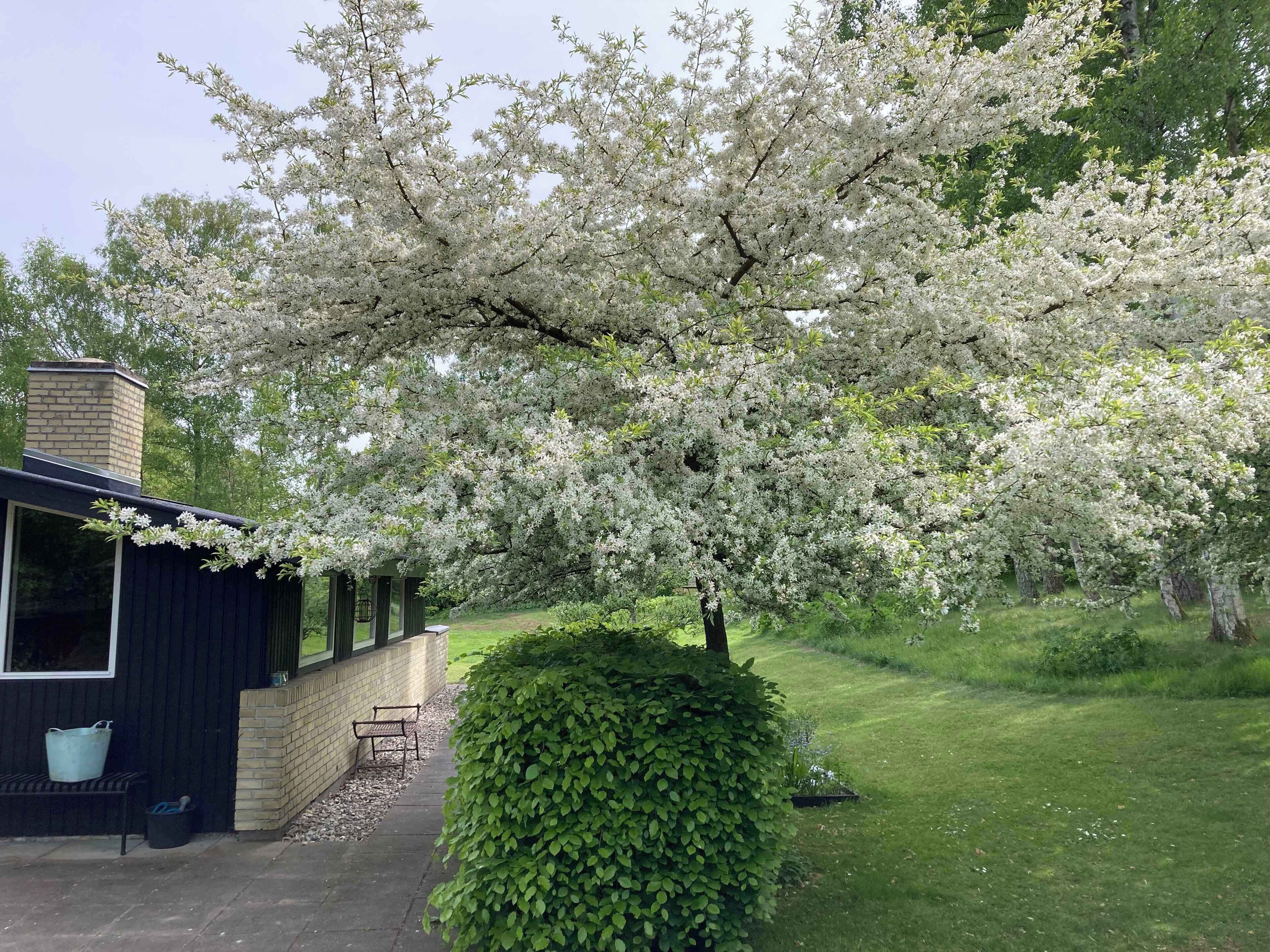 Overnatningsstedets område