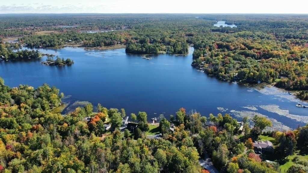 Un lago rodeado de bosque denso y algunos edificios.
