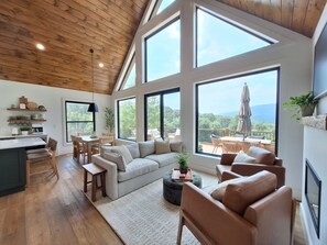 Smart TV, fireplace, books
