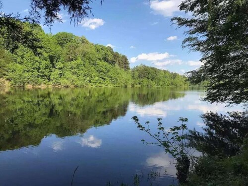Dog-Friendly Lakeside Escape w/ Hammock & Fire Pit