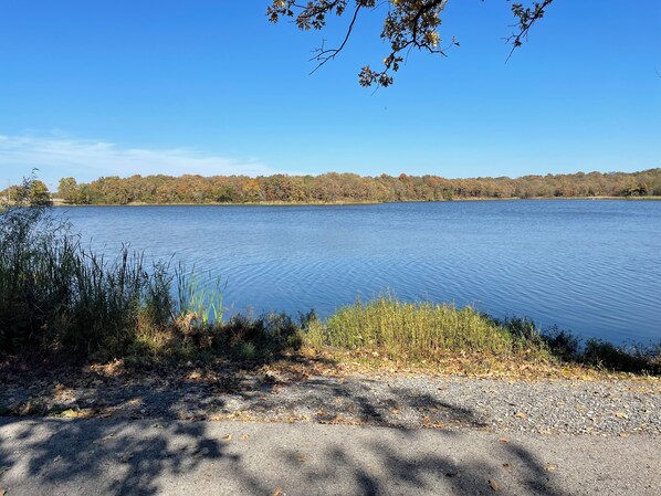 A calm lake with a forested shoreline and a gravel path leading to the water.