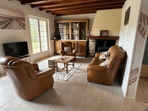 A living room with leather sofas, a coffee table, a fireplace, and a bookshelf. - Le Gîte Grues Cendrées - ARJUZANX (ARJUZANX)
