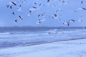 A beach with waves and seagulls flying.