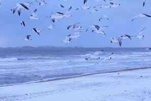 Vista desde la propiedad