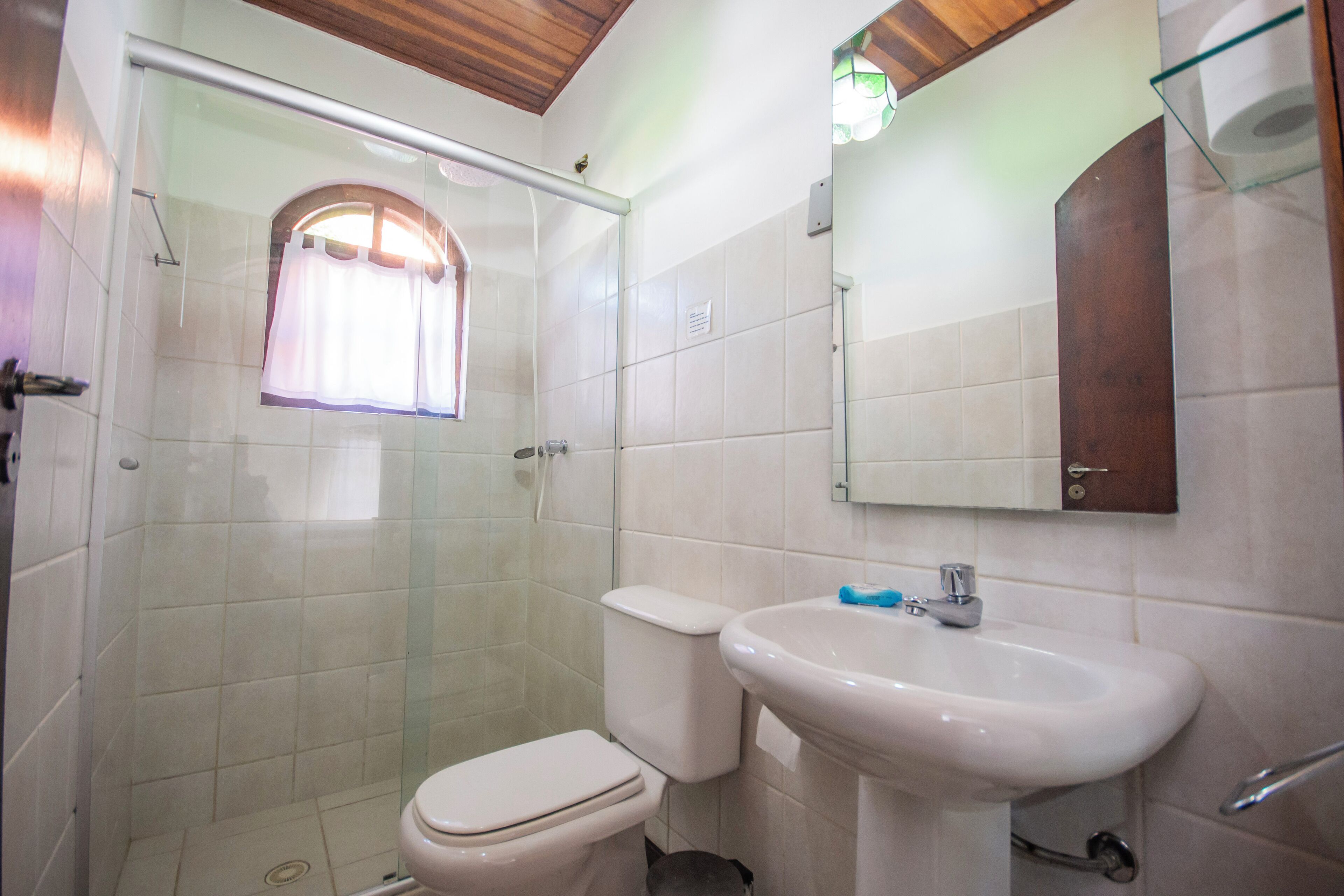 A bathroom with a glass-enclosed shower, a toilet, and a sink with a mirror above it.