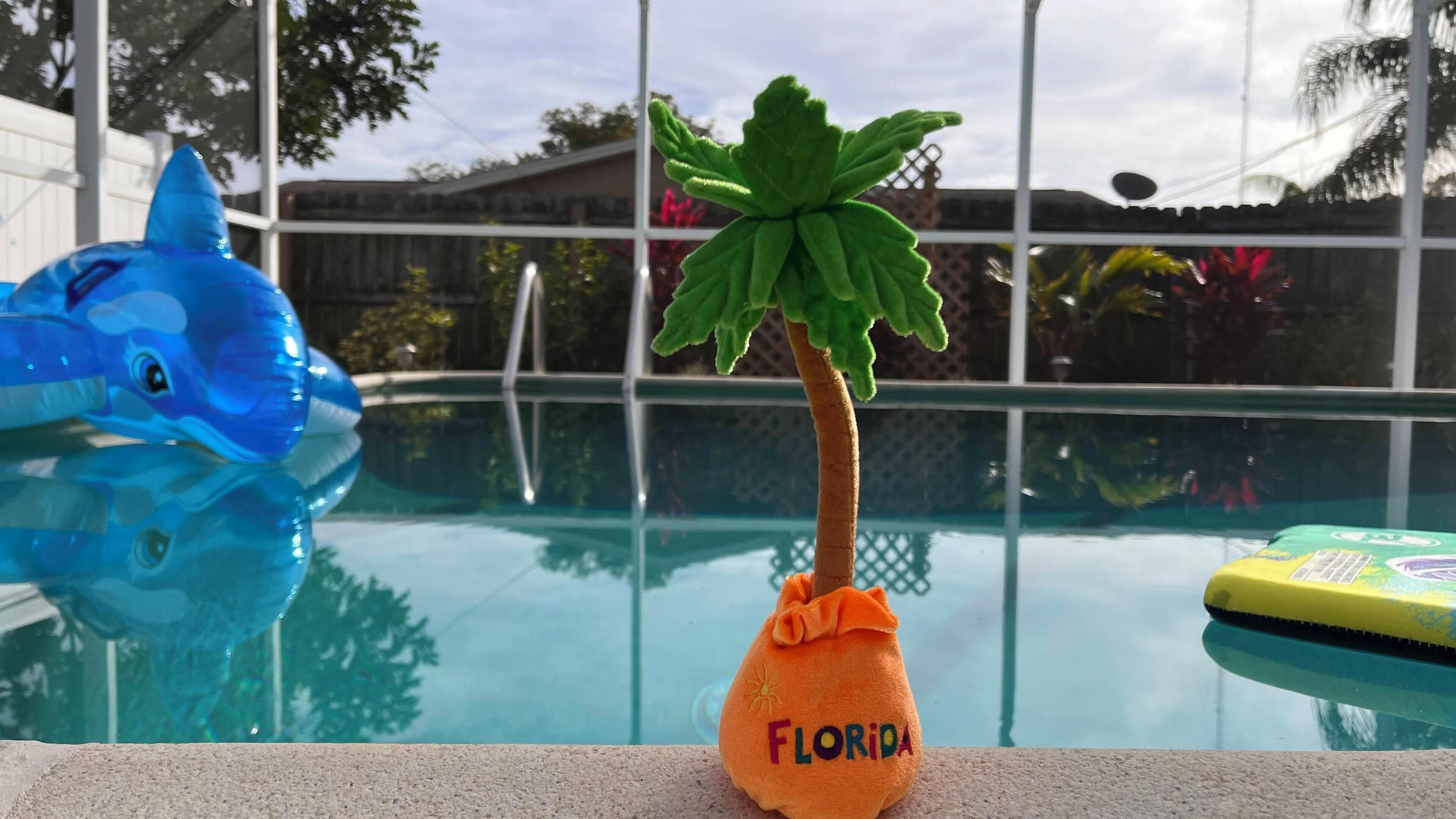 Een buitenzwembad en een verwarmd zwembad