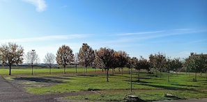 Miscellaneous - Apt. Heart of Veneto Great location for visiting Vi-Pd-Ve by car and train! (Grisignano di Zocco)