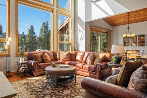 Smart TV, chimenea, reproductor de DVD y libros 