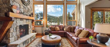 Smart TV, fireplace, DVD player, books