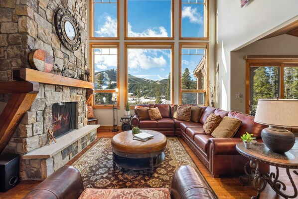 Smart TV, chimenea, reproductor de DVD y libros 