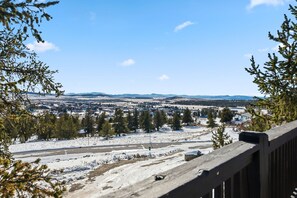 Property grounds - Two Cubs Cabin • In-Town Fairplay with Big Views (Fairplay)