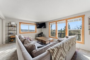 TV - Two Cubs Cabin • In-Town Fairplay with Big Views (Fairplay)