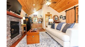 Smart TV, fireplace, DVD player, video library