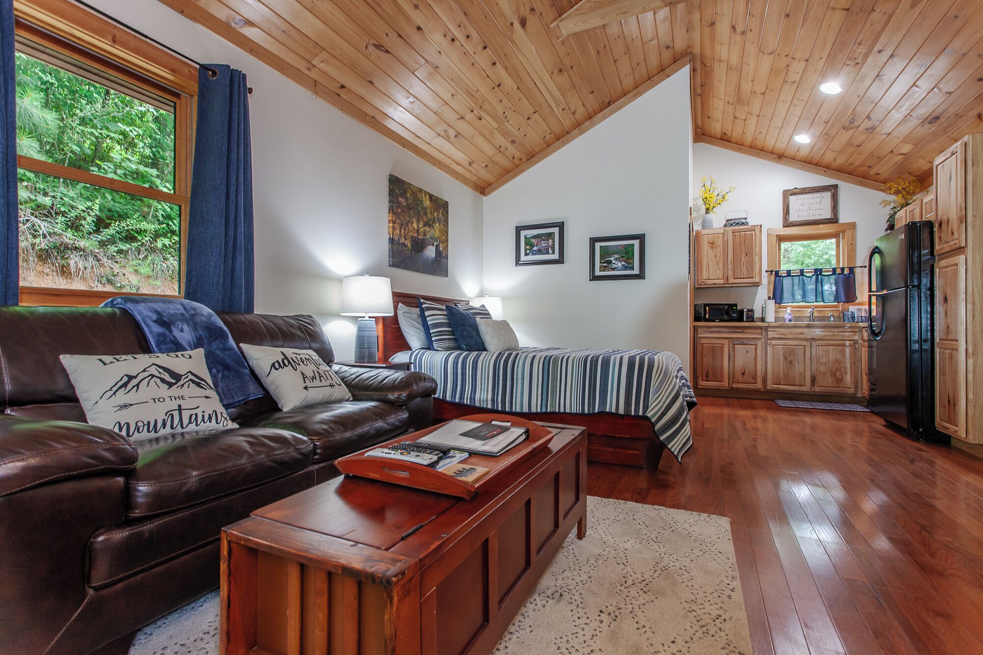 Smart TV, chimenea, reproductor de DVD y videoteca 