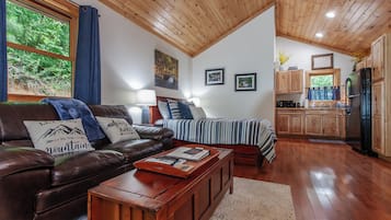 Smart TV, chimenea, reproductor de DVD y videoteca