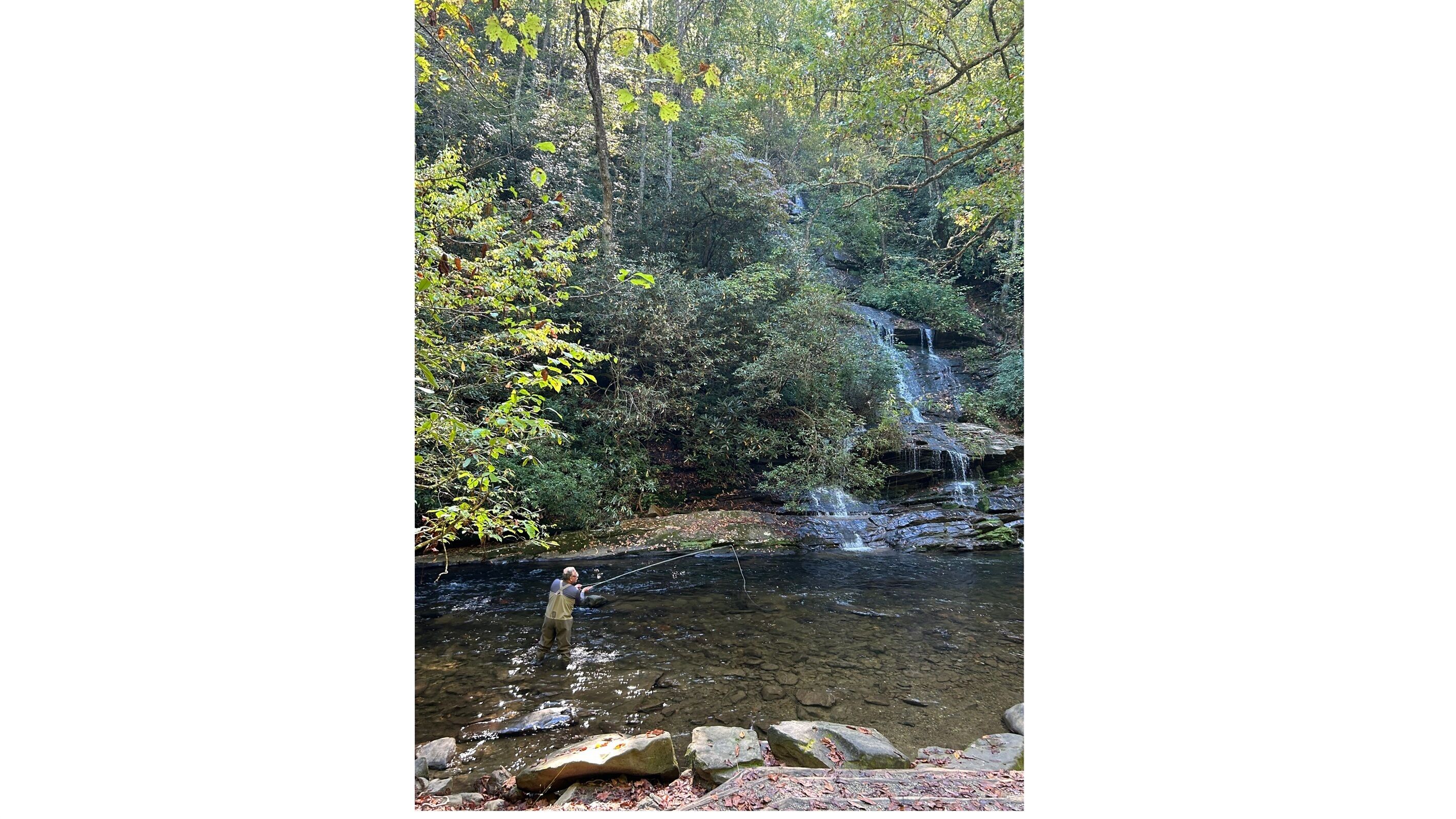 A natural setting with a waterfall and a clear stream.