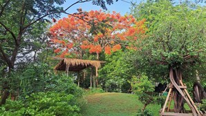 A garden with a tree, a thatched structure, and dense foliage. - Ban Roi Pah (Khlong Luang)