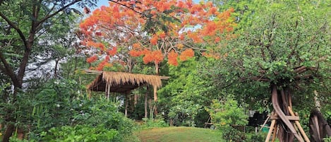 Un jardín con un árbol, una construcción de paja y abundante follaje.