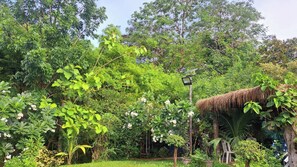 A lush garden with a variety of plants and a thatched-roof structure. - Ban Roi Pah (Khlong Luang)