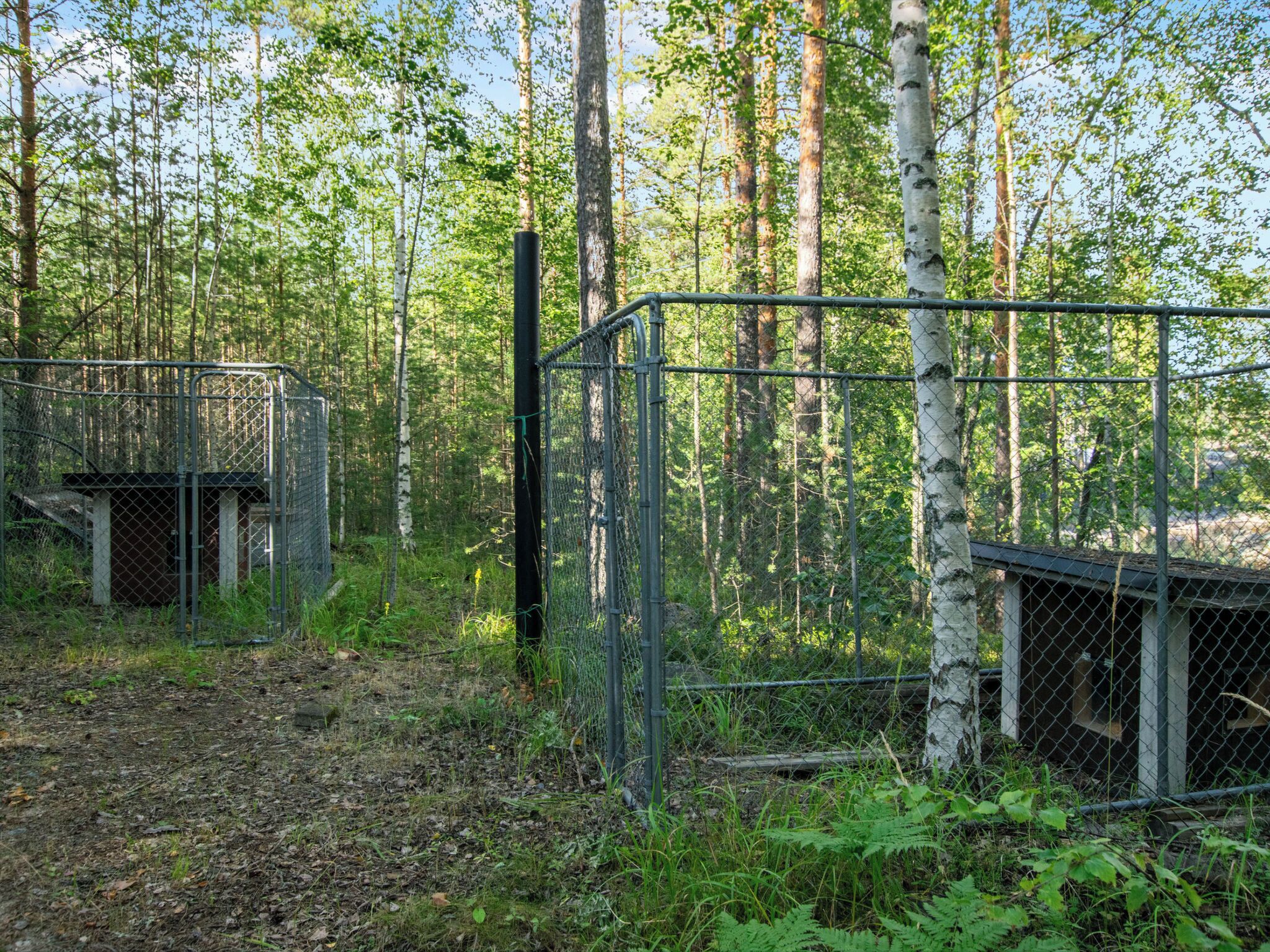 A fenced area with a small structure, surrounded by dense forest.