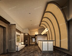 منطقة الاستقبال