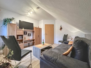 A modern living room with a sofa, a TV, wooden cabinets, and a ceiling light fixture. - Apartment in the Vogtland with terrace (Werda)