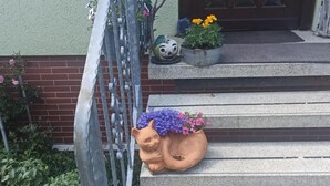 Eine Reihe aus Betonstufen führt zu einer Tür, auf der ersten Stufe steht ein Terrakotta-Topf mit Blumen.