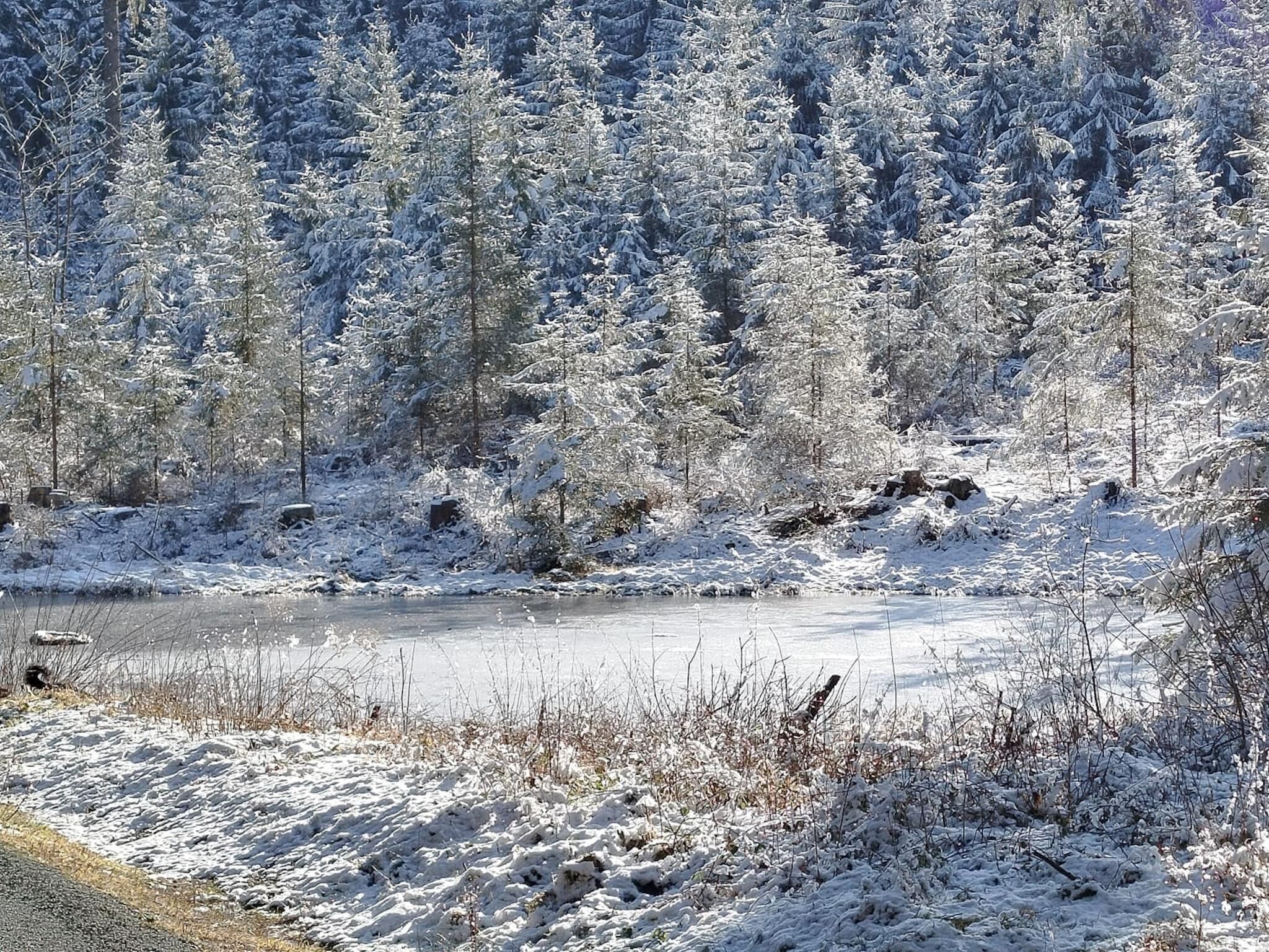 Un paysage hivernal avec une rivière gelée, des arbres recouverts de neige et un ciel dégagé.