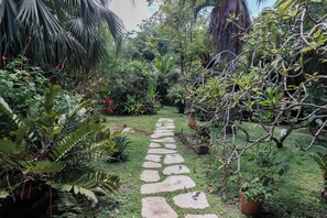 A garden pathway with various plants and a stone path. - Casa Maroc Jungle Escape with Yoga Shala in Montezuma |Tropical Garden. (Montezuma)