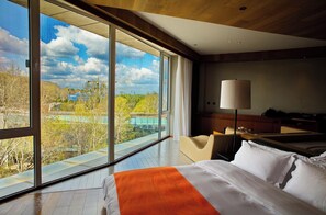 Panoramic Double Room, River View | View from room